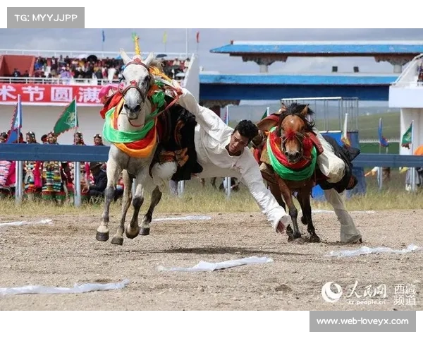 那曲赛马节助力极地那曲品牌崛起 打造西藏特色文化名片